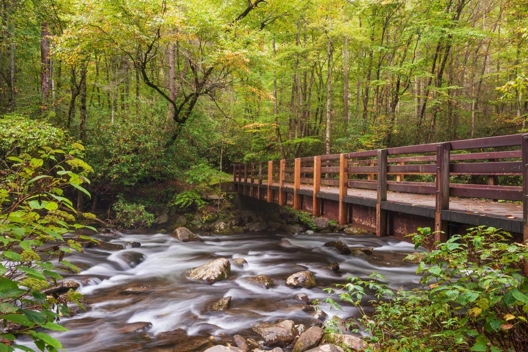 Breathtaking View, Hot Tub, 1089 Of Free Attraction Tickets For Each Paid Day, Dollywood And More! Sevierville Extérieur photo